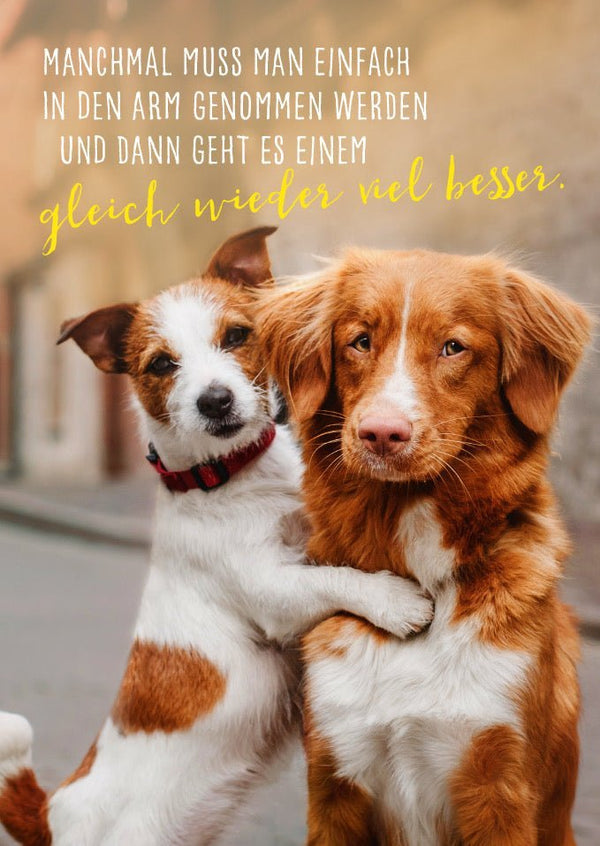 Tierische Freundschaftskarte: Hunde-Umarmung & Trost für Geborgenheit, Kuschelnde Fellnasen - Aufmunternde Tierpostkarte