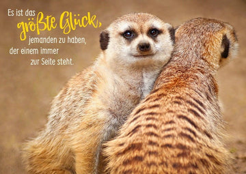 Tierpostkarte Freundschaft - Das größte Glück ist jemand, der stets hinter einem steht
