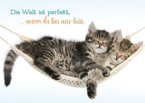 Tierpostkarte Freundschaft: Die Welt ist perfekt, wenn du an meiner Seite bist