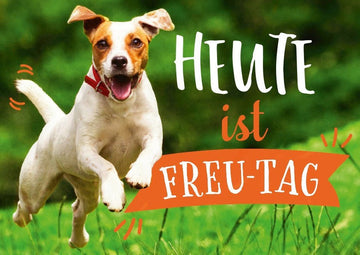 Tierpostkarte: Fröhlicher Jack Russell Terrier im Gras – Ein Lächeln fürs Wochenende