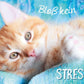 Tierpostkarte Katze: Entspannung & Weisheit - Charmante Relax - Kätzchen Karte mit Spruch für Gelassenheit