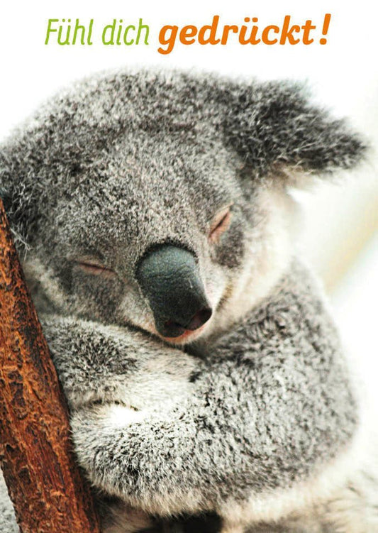 Tierpostkarte Koala Umarmung - Herzerwärmender Gruß "Fühl dich gedrückt" für Freunde, voller Zärtlichkeit und Geborgenheit