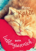 Tierpostkarte: Meine Katze ist mein Herzmensch - Charmante Grüße für Tierliebhaber