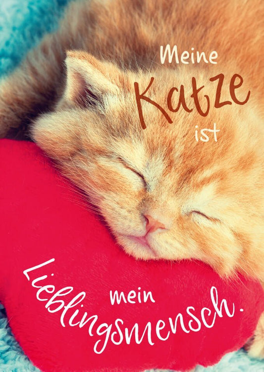 Tierpostkarte: Meine Katze ist mein Herzmensch - Charmante Grüße für Tierliebhaber