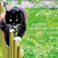Tierpostkarte mit inspirierendem Lebensweisheit - Spruch: Mut zum Risiko im Leben