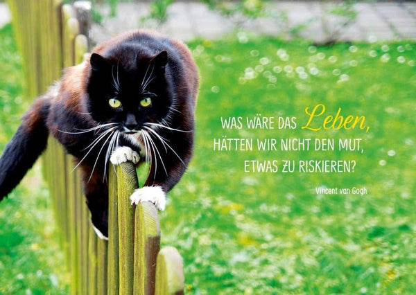 Tierpostkarte mit inspirierendem Lebensweisheit-Spruch: Mut zum Risiko im Leben