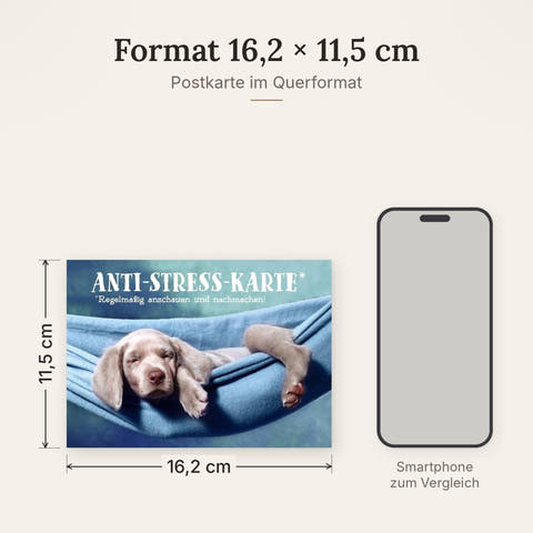Tierpostkarte mit Lebensweisheit: Anti-Stress-Spruch für regelmäßige Inspiration und Entspannung