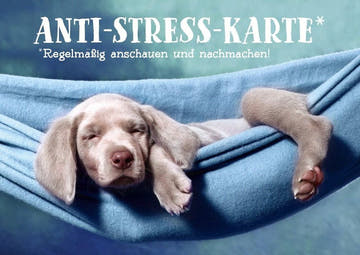 Tierpostkarte mit Lebensweisheit: Anti - Stress - Spruch für regelmäßige Inspiration und Entspannung