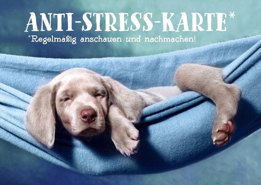 Tierpostkarte mit Lebensweisheit: Anti - Stress - Spruch für regelmäßige Inspiration und Entspannung