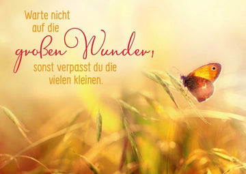Tierpostkarte mit Lebensweisheit: Erwarte nicht die großen Wunder