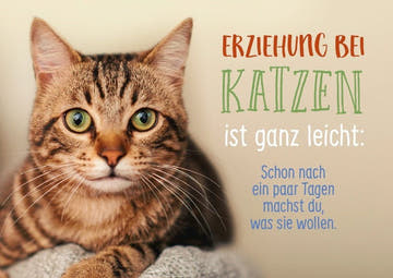 Tierpostkarte mit Lebensweisheit: Erziehung bei Katzen ist ganz leicht