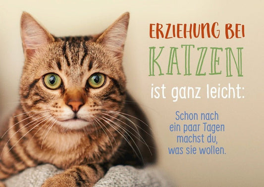 Tierpostkarte mit Lebensweisheit: Erziehung bei Katzen ist ganz leicht
