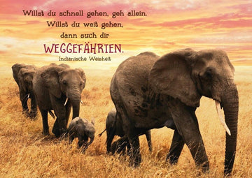 Tierpostkarte mit Lebensweisheit: Gemeinsam langsamer, aber weiter gehen