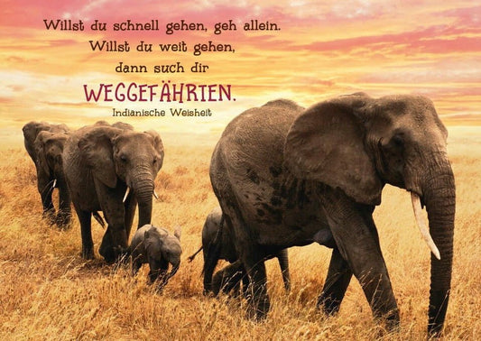 Tierpostkarte mit Lebensweisheit: Gemeinsam langsamer, aber weiter gehen