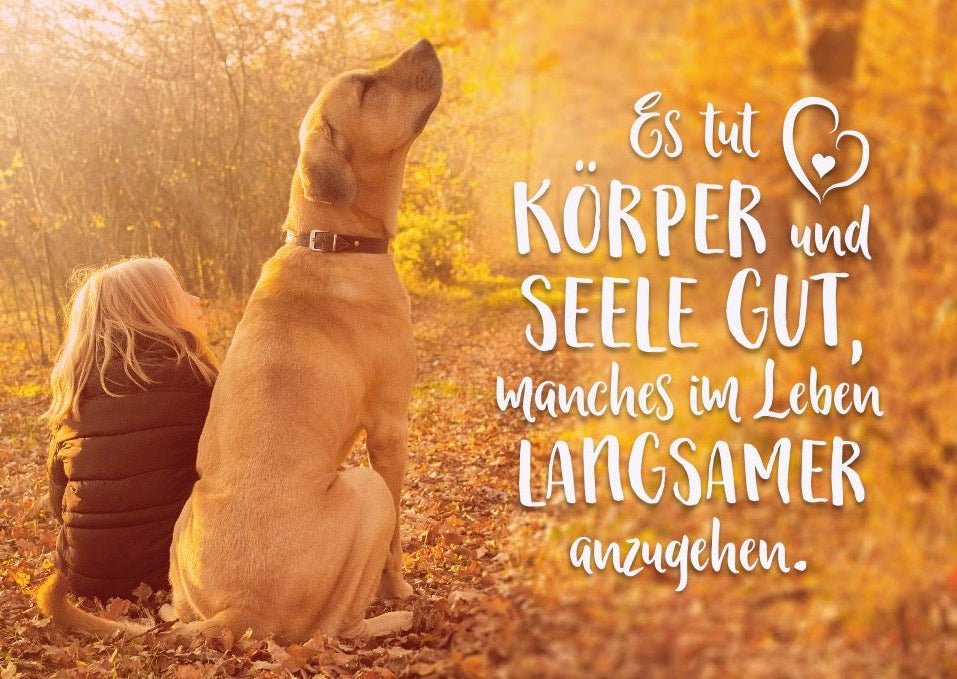 Tierpostkarte mit Lebensweisheit: Langsamkeit für Körper und Seele entdecken