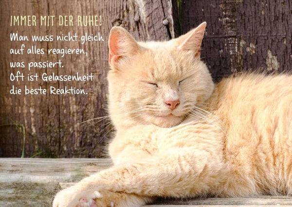 Tierpostkarte mit Lebensweisheit: Ruhe bewahren - Nicht auf alles reagieren müssen