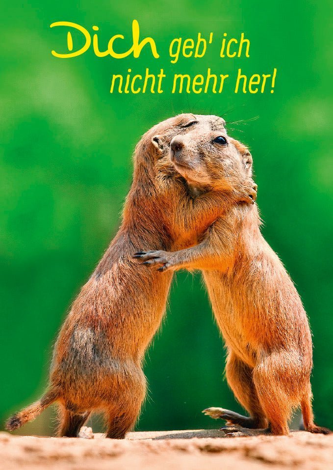 Tierpostkarte mit liebevollem Spruch: Dich geb' ich für nichts auf der Welt her