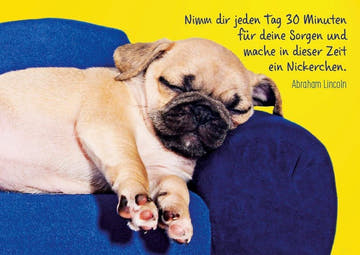 Tierpostkarte: "Mops - Philosophie" – Humorvolle Lebensweisheit in Gelb & Blau