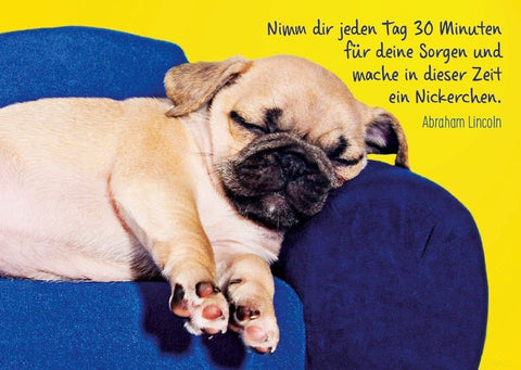 Tierpostkarte: "Mops - Philosophie" – Humorvolle Lebensweisheit in Gelb & Blau