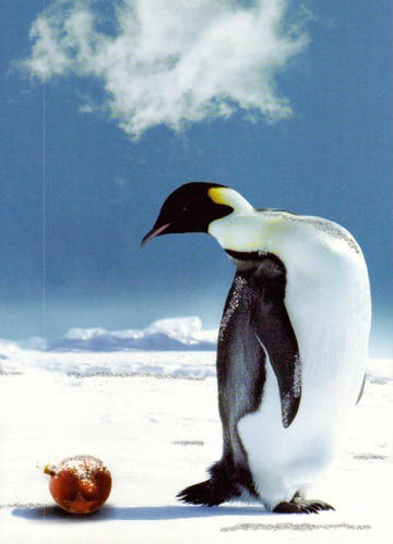 Tierpostkarte: Pinguin mit Weihnachtskugel - Festliche Grüße für Tierliebhaber