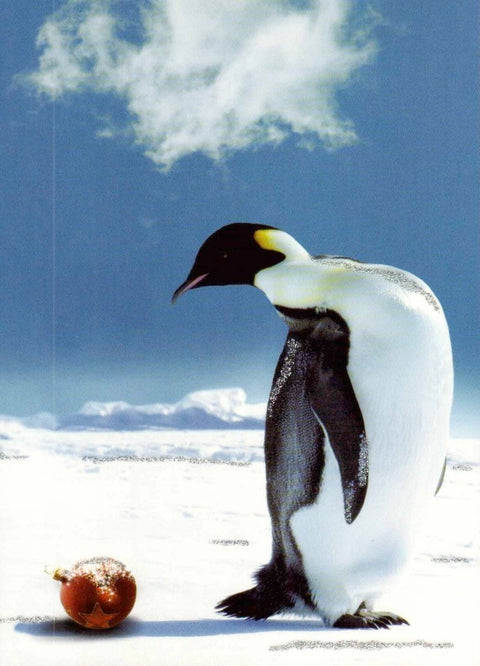 Tierpostkarte: Pinguin mit Weihnachtskugel - Festliche Grüße für Tierliebhaber