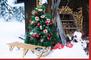 Traditionelle Weihnachtskarte: Festlicher Tannenbaum & Schlitten in Rot - Gold, Gemütliche Schneelandschaft