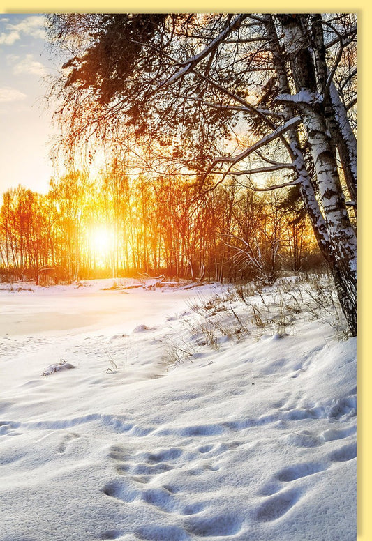 Traditionelle Weihnachtskarte – Schneelandschaft im Wald bei Sonnenuntergang, Blanko Fotogrußkarte für besinnliche Festtage