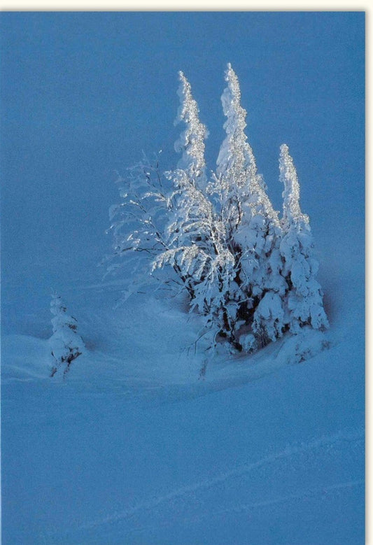 Traditionelle Weihnachtskarte – Winterliche Landschaft mit verschneiten Bäumen und frostiger Ruhe, Blau - Weißer Gruß "Merry Christmas"
