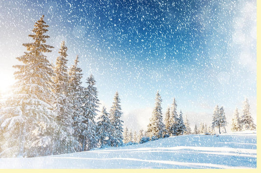 Traditionelle Weihnachtskarte "Winterzauber" - Schneetannen & Sternenhimmel, Blaue Winterlandschaft