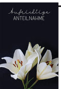 Trauerkarte Aufrichtige Anteilnahme – Elegante Beileidskarte mit weißen Lilien auf schwarzem Hintergrund für Trauerfälle