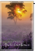 Trauerkarte Aufrichtige Anteilnahme: Sonnenuntergang, Baum und lila Blumen auf Wiese