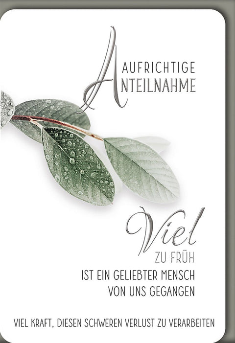 Trauerkarte Aufrichtige Anteilnahme – Taufrische Blätter mit stilvollem Schriftzug