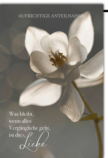 Trauerkarte Aufrichtige Anteilnahme – Weiße Blume mit Zitat in sanftem Licht