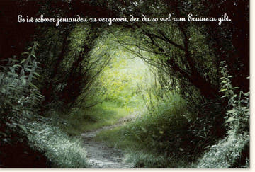 Trauerkarte Beileid & Anteilnahme - Naturmotiv Baum, Licht & Schatten, Friedliche Stille für Hoffnung und Gedenken