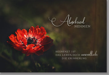 Trauerkarte Beileid & Anteilnahme - Stilvolle Karte mit Roter Blume, Naturmotiv in Dunkelrot & Schwarz für Trost und Erinnerung