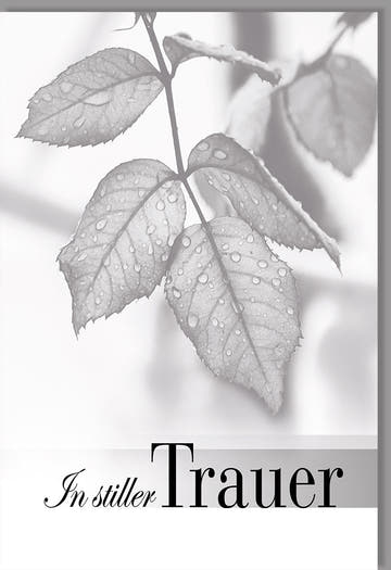 Trauerkarte Beileid - Elegantes Rosenblatt - Design in Schwarz - Weiß, Mitfühlende Kondolenztexte für Freunde und Familie