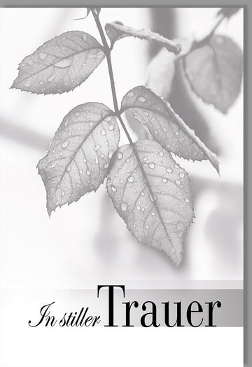 Trauerkarte Beileid - Elegantes Rosenblatt - Design in Schwarz - Weiß, Mitfühlende Kondolenztexte für Freunde und Familie