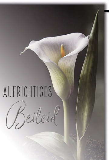 Trauerkarte Elegant – Weiße Calla mit sanftem Licht und stilvollem Schriftzug