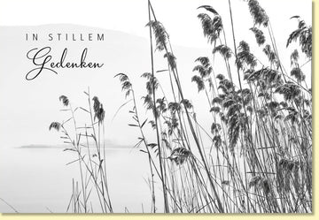 Trauerkarte In stillem Gedenken mit Naturmotiv Schilf am See stilvolle Doppelkarte für Beileid und Anteilnahme hochwertige Doppelkarte