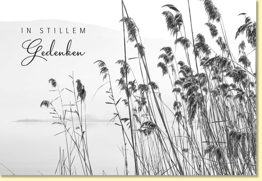 Trauerkarte In stillem Gedenken mit Naturmotiv Schilf am See stilvolle Doppelkarte für Beileid und Anteilnahme hochwertige Doppelkarte