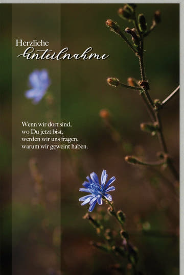 Trauerkarte mit Blumenmotiv - Stilvolles Naturdesign für Trost und Hoffnung, Elegante Kondolenzkarte in Erinnerung