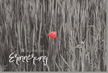 Trauerkarte mit Mohnblume – Elegante Kondolenzkarte für Abschied, Schwarzweiß mit roter Blüte