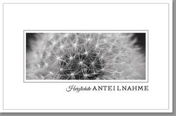 Trauerkarte mit Pusteblume und Schriftzug "Herzliche Anteilnahme" im stilvollen Schwarz - Weiß - Design, hochwertige Papierqualität