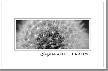 Trauerkarte mit Pusteblume und Schriftzug "Herzliche Anteilnahme" im stilvollen Schwarz - Weiß - Design, hochwertige Papierqualität