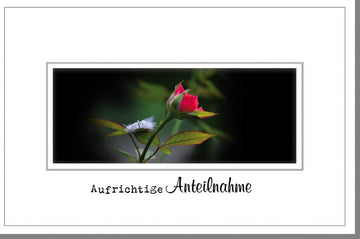 Trauerkarte mit roter Rose & Feder - Stilvolle Kondolenz in Schwarz - Weiß - Rot für Abschied und Gedenken