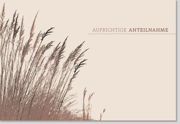 Trauerkarte mit Schilf & Gras - Stilvolles Naturdesign in Beige für Mitgefühl und Anteilnahme im Trauerfall