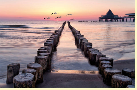 Trauerkarte mit Sonnenuntergang am Meer und Möwen auf hochwertigem Blanko Doppelkartenkarton für persönliche Abschiedsgrüße