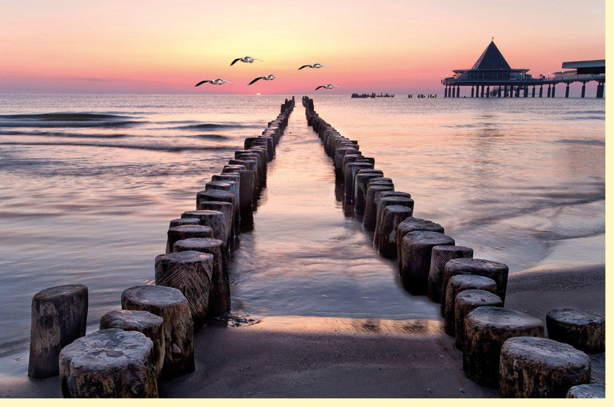 Trauerkarte mit Sonnenuntergang am Meer und Möwen auf hochwertigem Blanko Doppelkartenkarton für persönliche Abschiedsgrüße