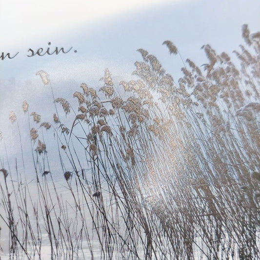 Trauerkarte mit Spruch All das woran wir uns erinnern wird nie verloren sein ruhige See Schilf Naturmotiv stilvolle Beileidskarte