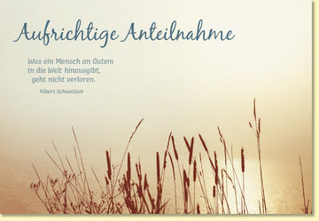Trauerkarte mit Spruch Aufrichtige Anteilnahme zartes Naturmotiv Gräser am See stilvolle Beileidskarte Albert Schweitzer Zitat